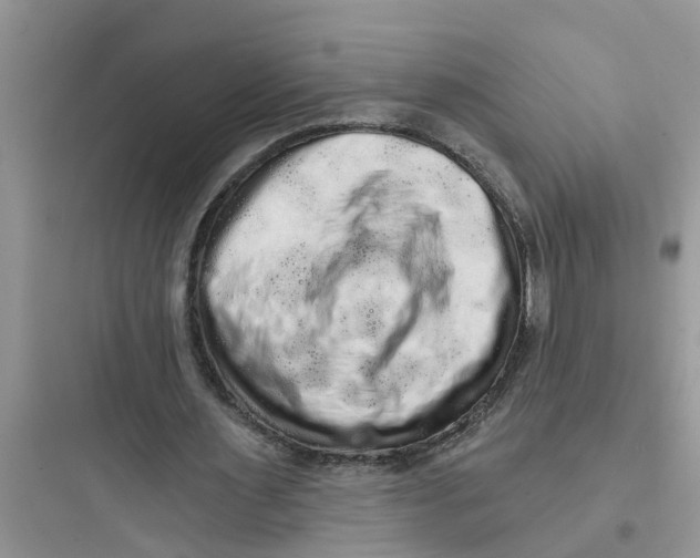 X0000097630483200803211813