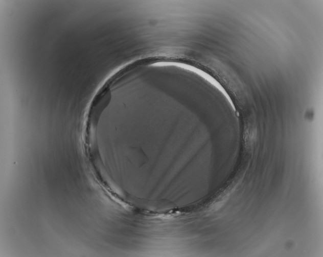 X0000097630484200803211813