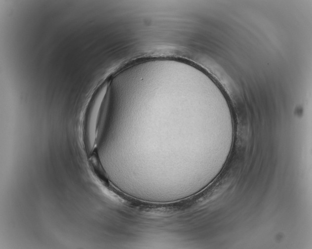 X0000097630485200803211813