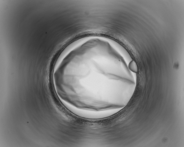 X0000097630486200803211813