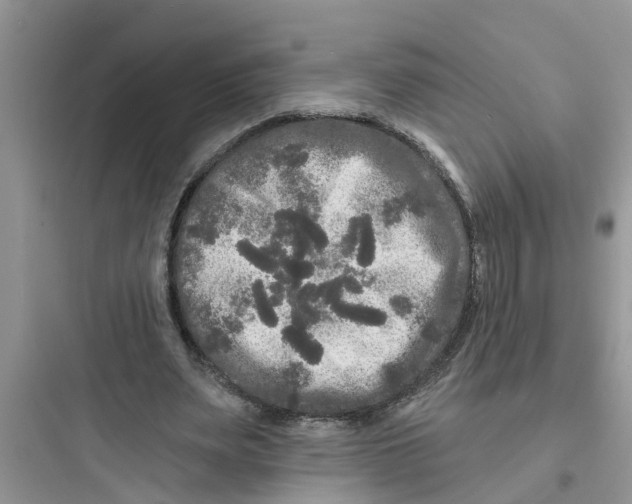 X0000097630487200803211813