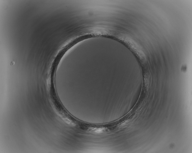 X0000097630488200803211813