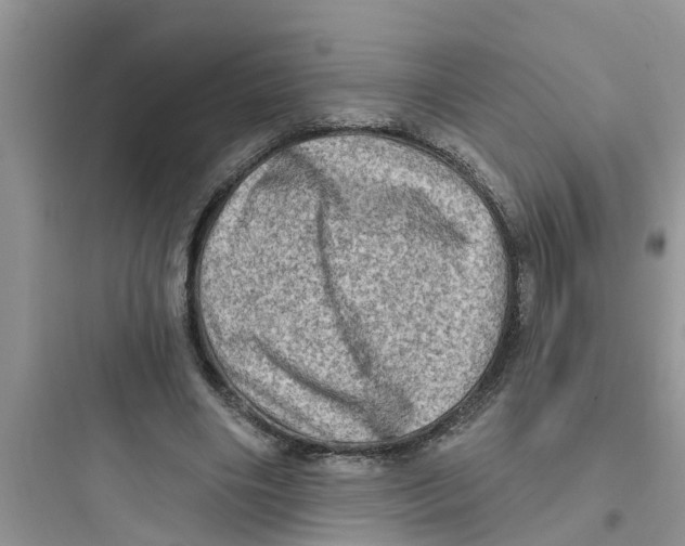 X0000097630490200803211813