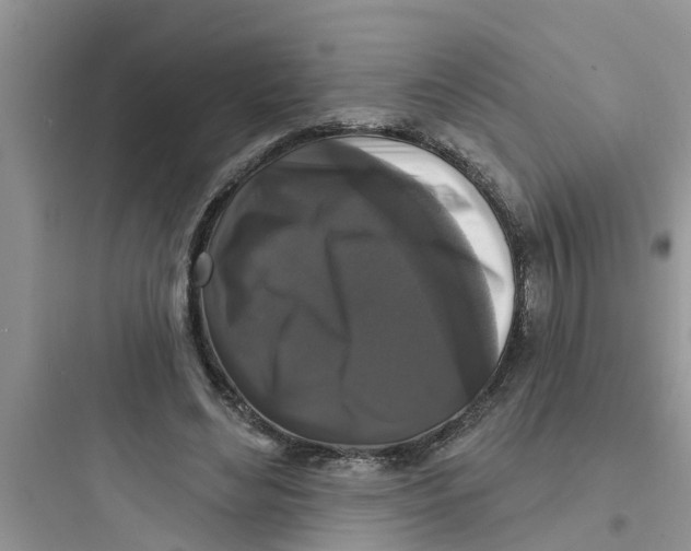 X0000097630492200803211813