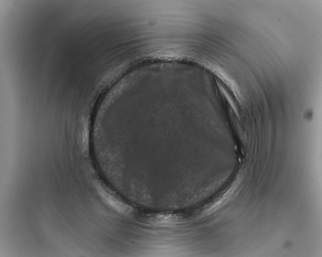 X0000097630493200803211813