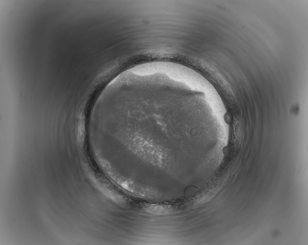 X0000097630494200803211813