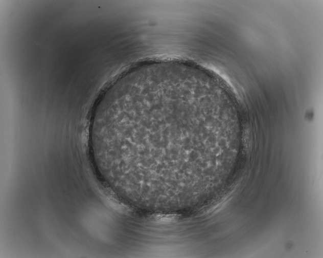 X0000097630495200803211813