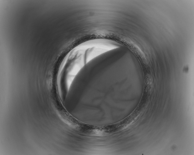 X0000097630496200803211813