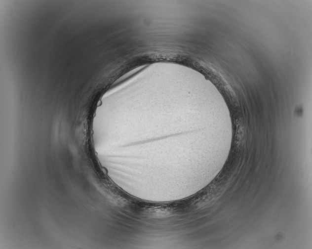 X0000097630498200803211813