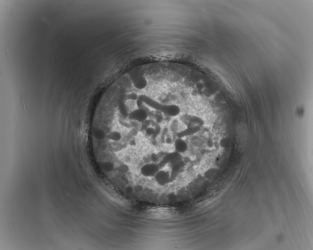 X0000097630499200803211813