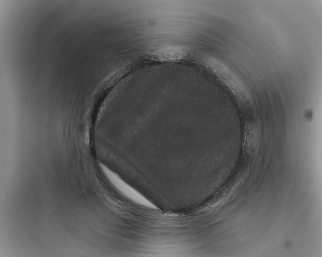 X0000097630501200803211813