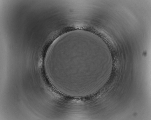 X0000097630502200803211813