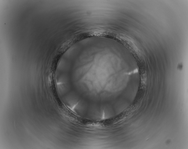 X0000097630503200803211813