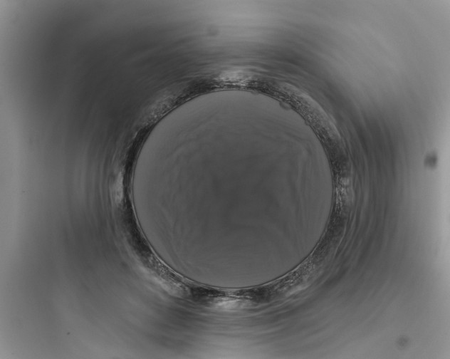 X0000097630504200803211813