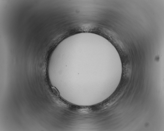 X0000097630505200803211813