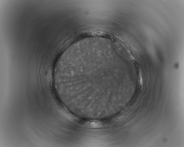 X0000097630506200803211813