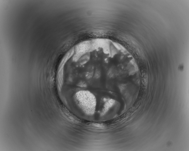 X0000097630507200803211813