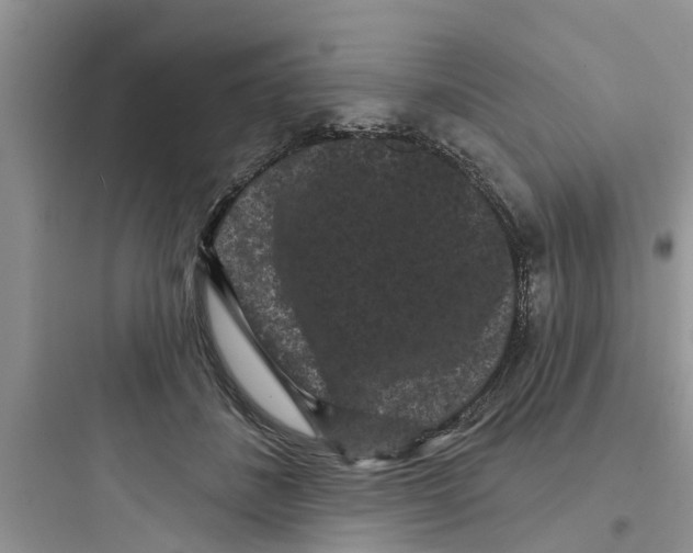 X0000097630508200803211813