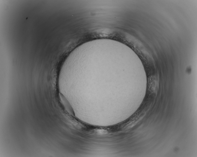 X0000097630509200803211813