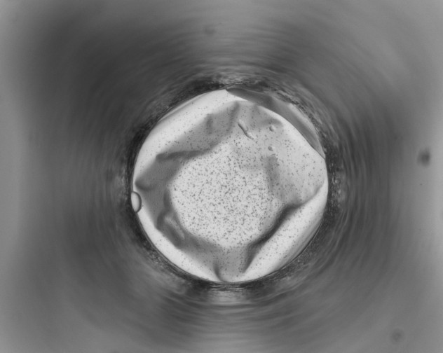 X0000097630510200803211813