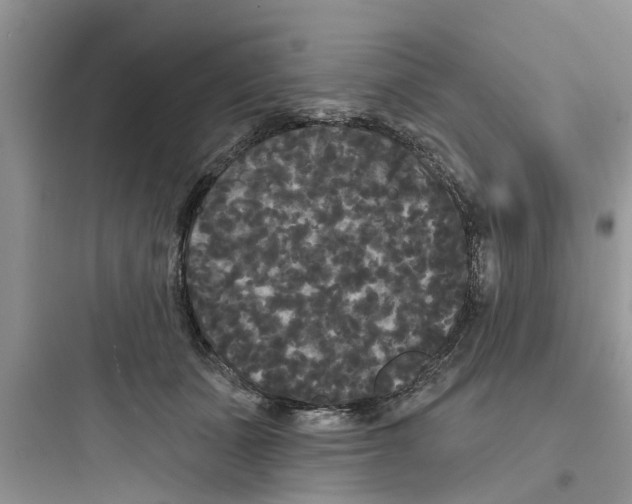 X0000097630511200803211813