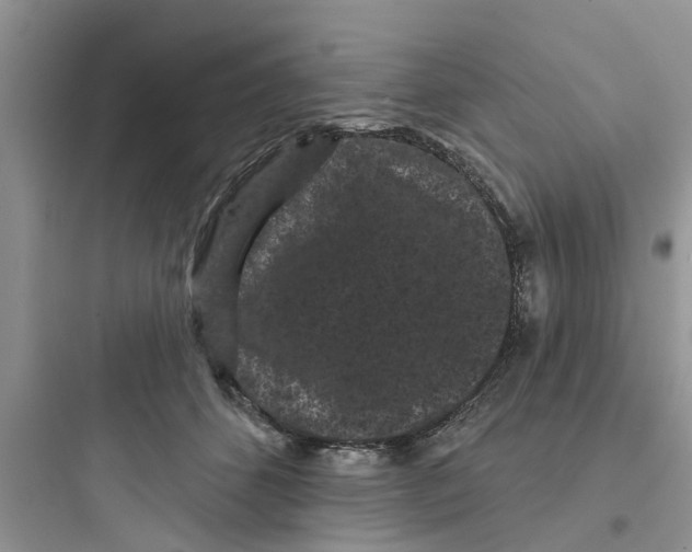 X0000097630512200803211813