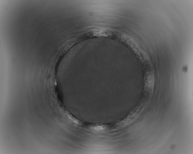 X0000097630513200803211813