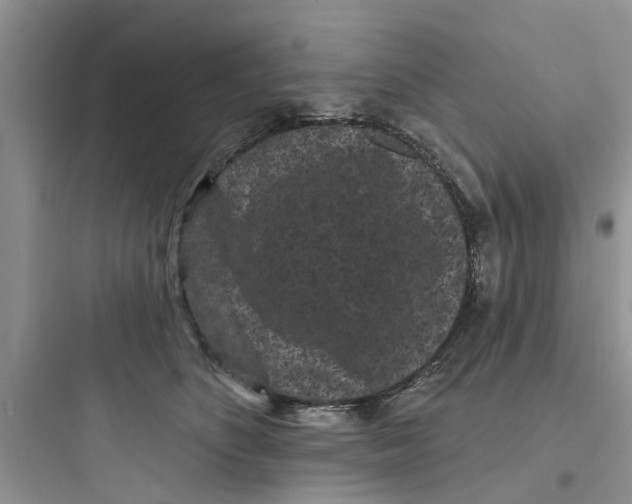 X0000097630516200803211812