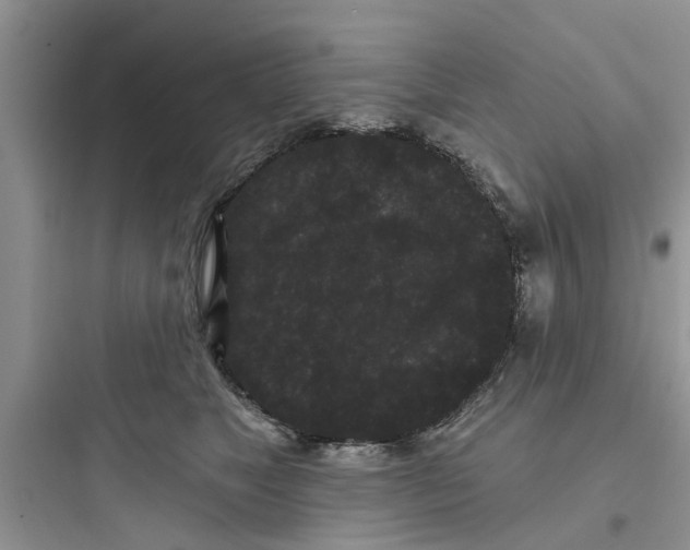 X0000097630517200803211812