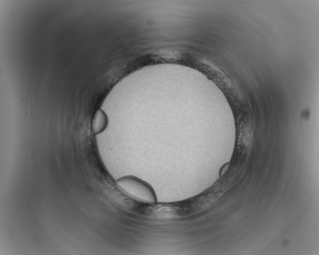 X0000097630518200803211812