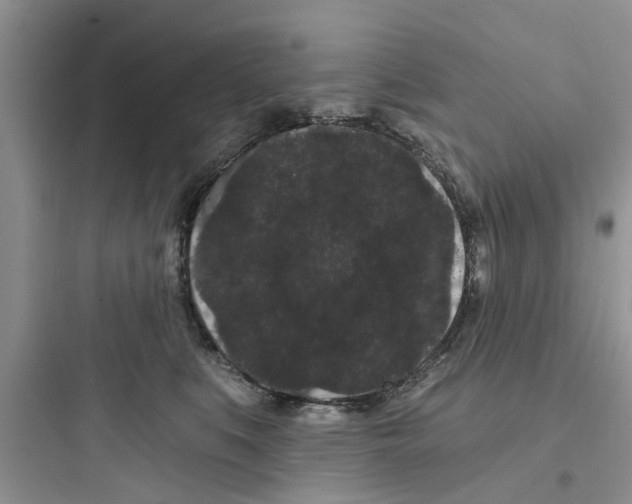 X0000097630519200803211812