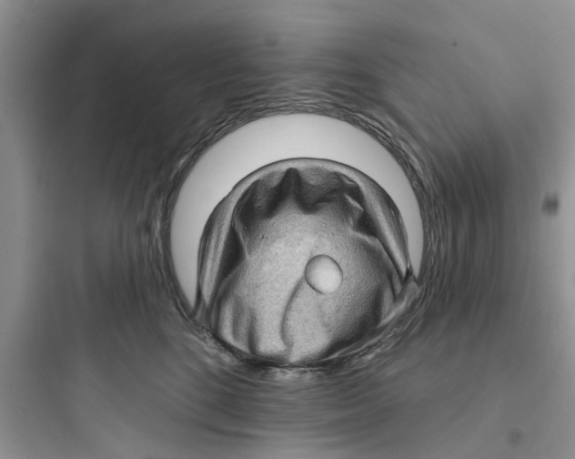 X0000097630520200803211812