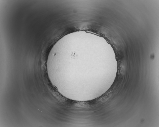 X0000097630521200803211812