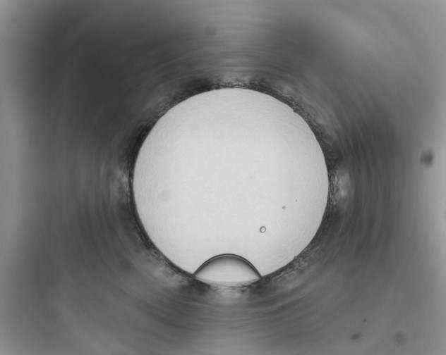 X0000097630522200803211812