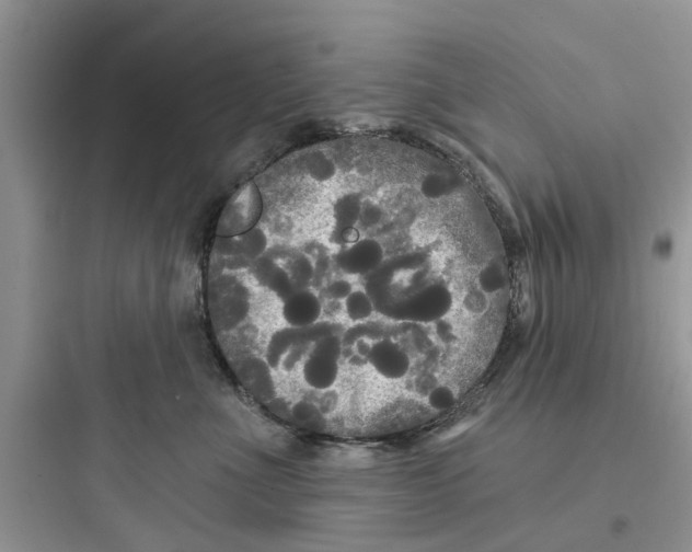 X0000097630523200803211812