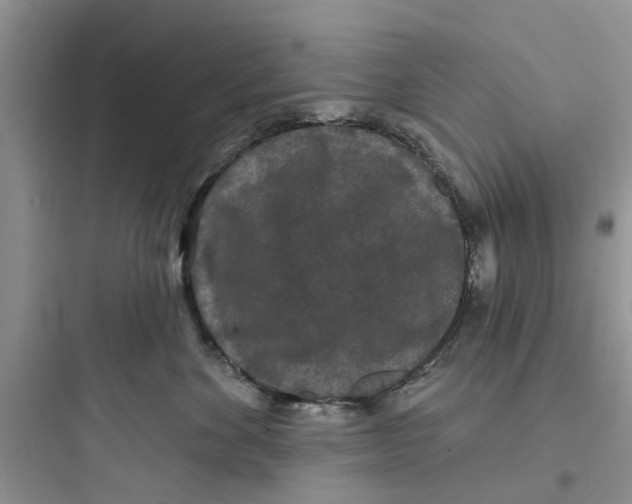 X0000097630524200803211812