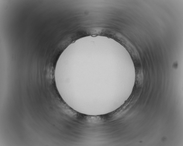 X0000097630525200803211812