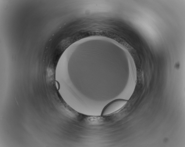 X0000097630526200803211812