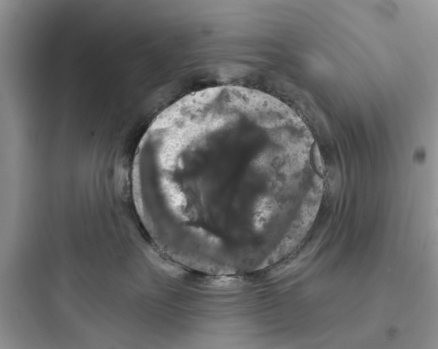 X0000097630527200803211812