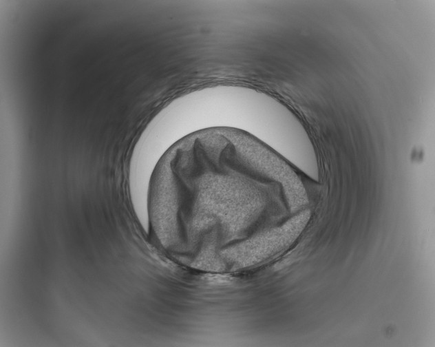 X0000097630528200803211812