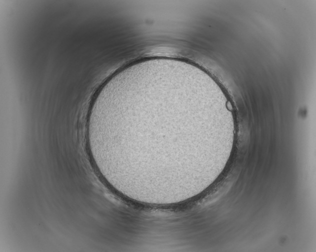 X0000097630529200803211811