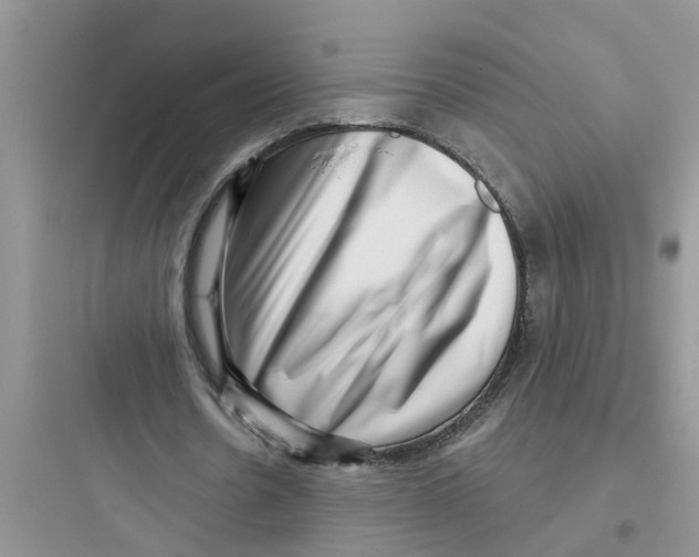 X0000097630530200803211811