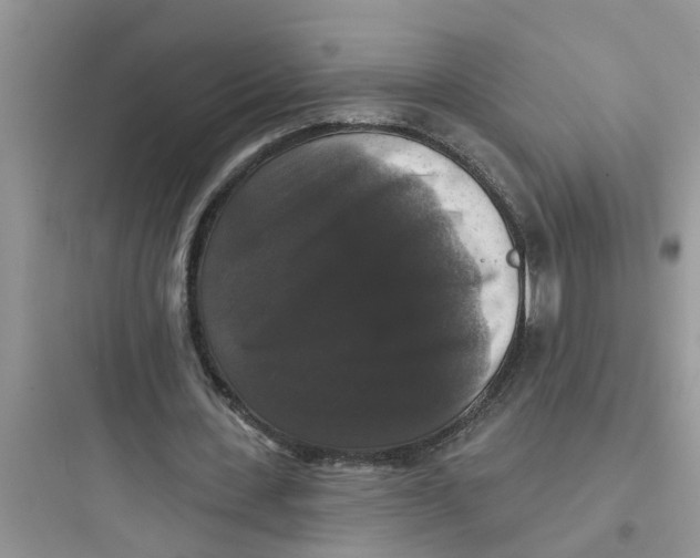 X0000097630531200803211812