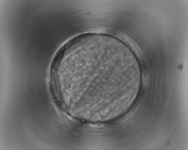 X0000097630532200803211812