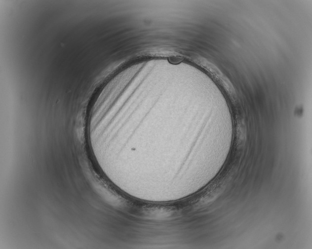 X0000097630533200803211812