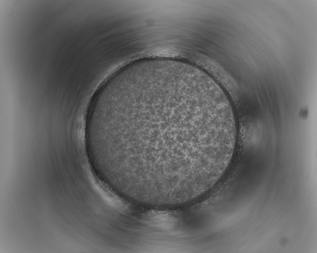 X0000097630534200803211812