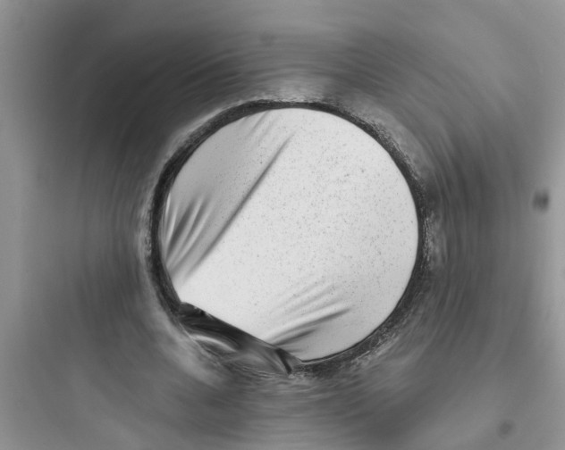 X0000097630536200803211812