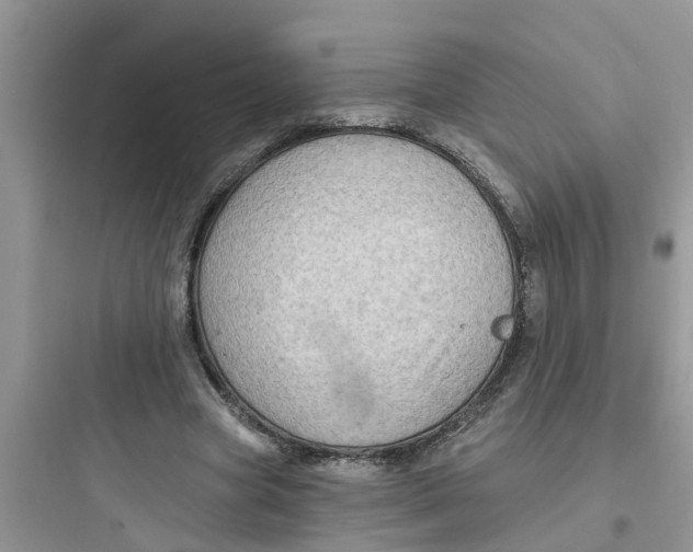 X0000097630537200803211812