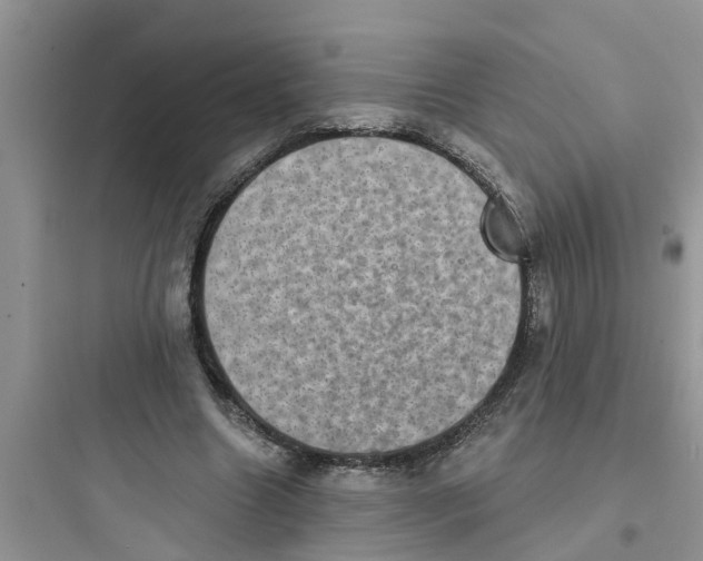 X0000097630538200803211812