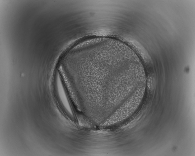 X0000097630540200803211812